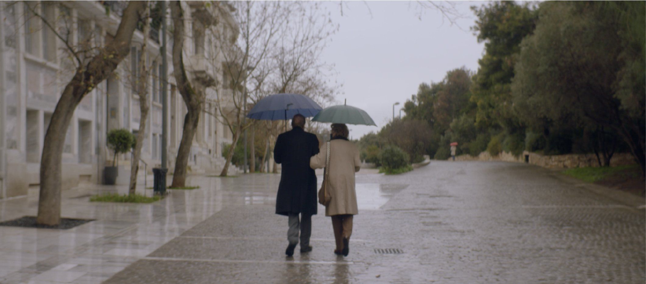 Ministry of Health - The Date